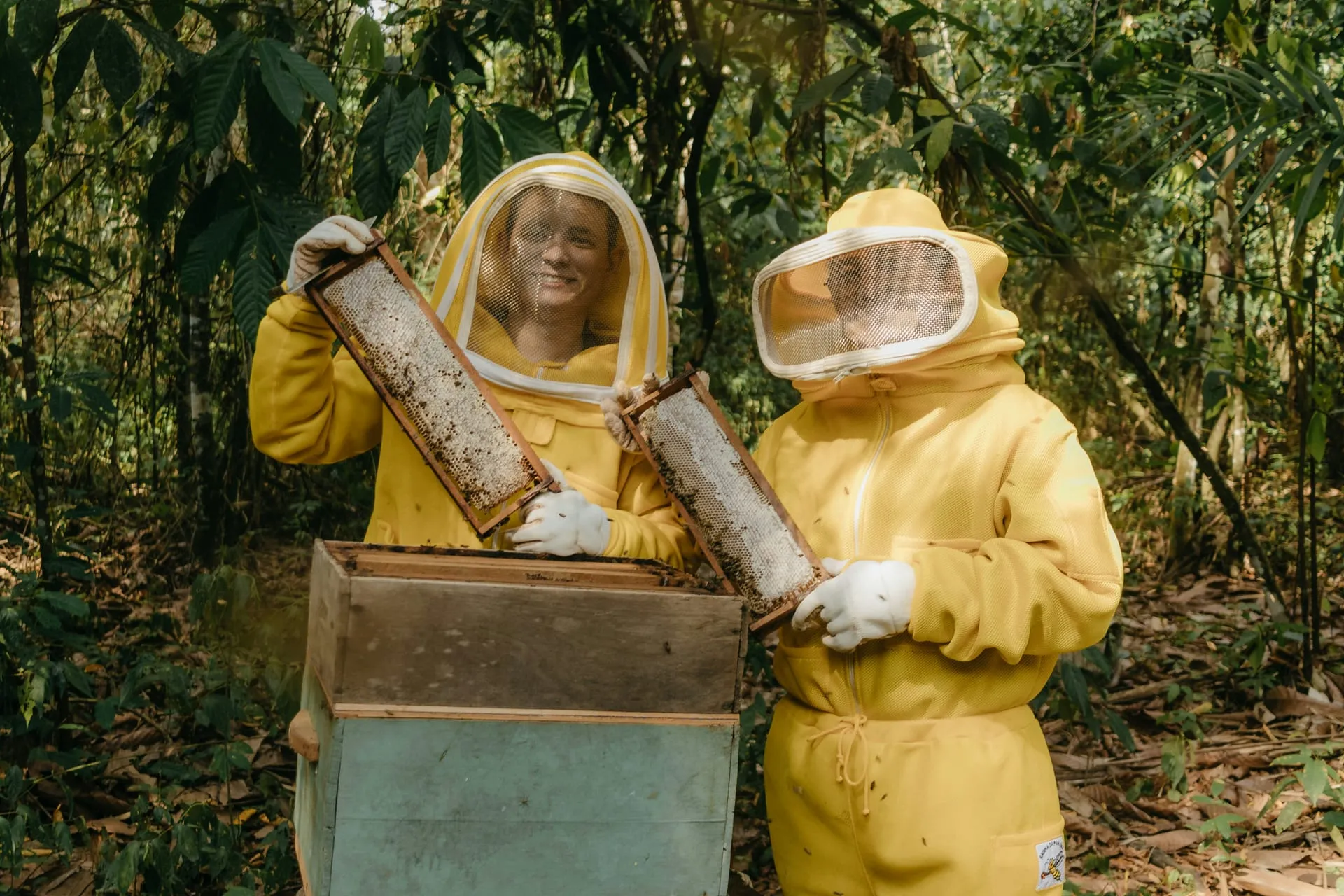 Zwei Imker bei der Arbeit am Bienenstand im Grünen